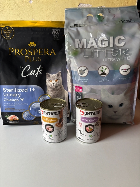 Spolek Kouzelná Elvíra z.s.